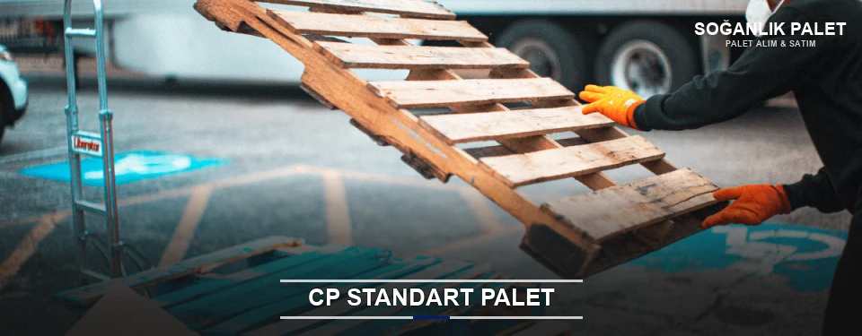 Soğanlık CP Palet Çözümleri