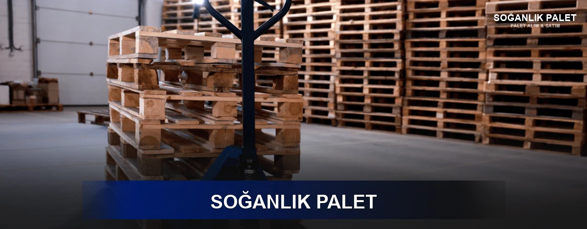 Başakşehir Palet